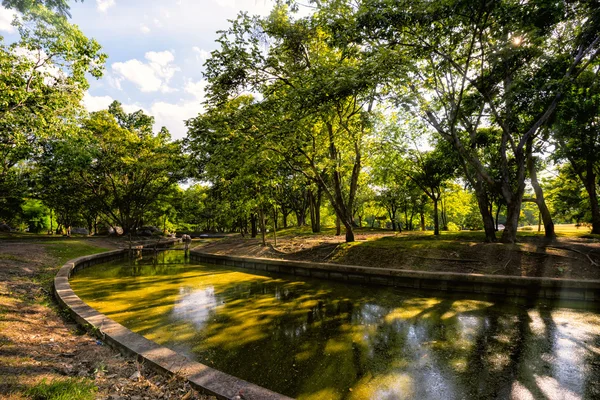 在城市公园里，在阳光灿烂的夏天一天绿树的视图 — 图库照片