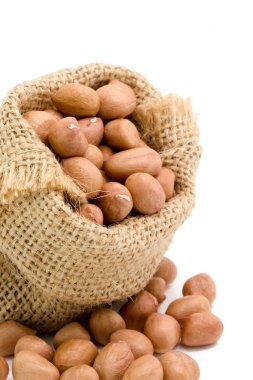 Çuval içinde hiçbir deniz hayvanı kabuğu kuru fıstık