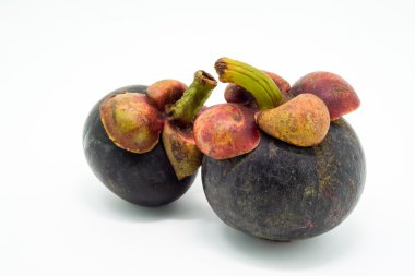 taze Mangosteen, tropikal meyve