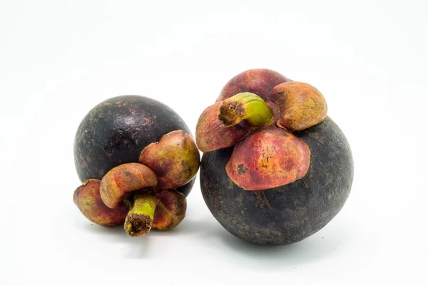 Verse mangosteen, tropisch fruit — Stockfoto