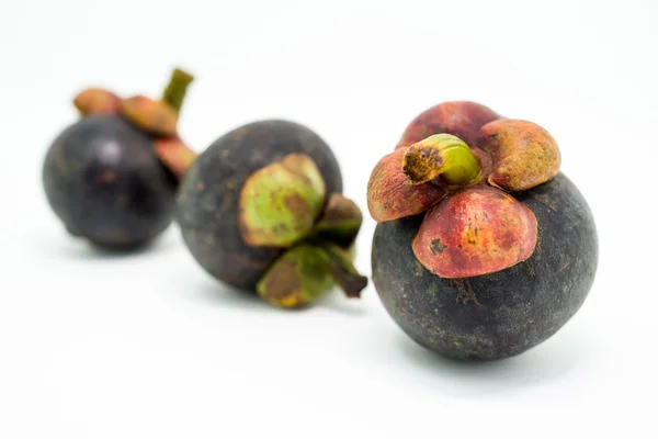 Verse mangosteen, tropisch fruit — Stockfoto