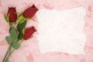 Kırmızı gül ile boş kağıt