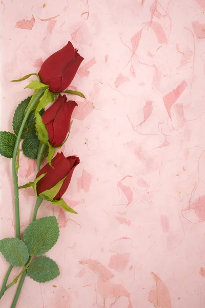 Rosa vermelha no lugar de papel de textura rosa para o seu texto — Fotografia de Stock