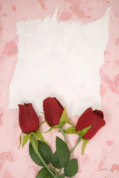 Papel em branco com rosa vermelha — Fotografia de Stock