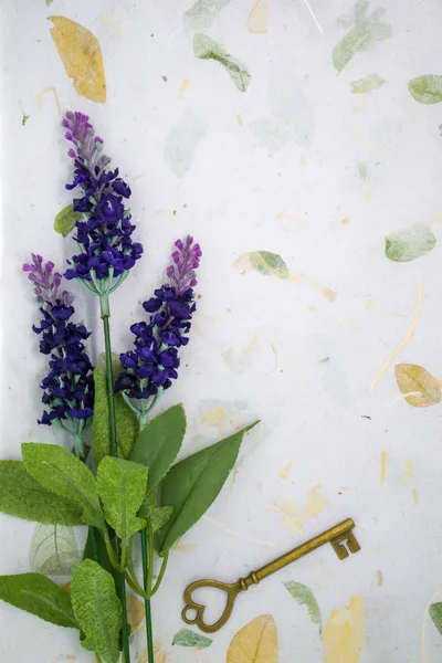Lavendel och gamla nyckel på textur papper — Stockfoto