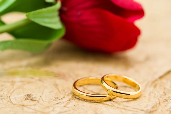 결혼 반지와 갈색 배경에 인공 로즈 — 스톡 사진