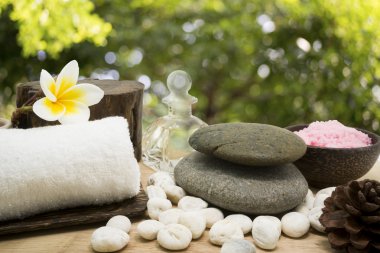 Güzel doğal arka plan ile spa elemanları