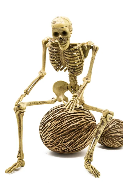 Modelo esqueleto sentado na bola — Fotografia de Stock