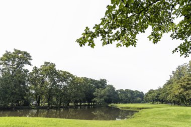 Yeşil çim alan beyaz bulutlu gökyüzü ile