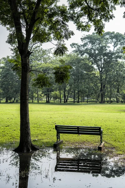 Bank in de buurt van boom in openbare park — Stockfoto