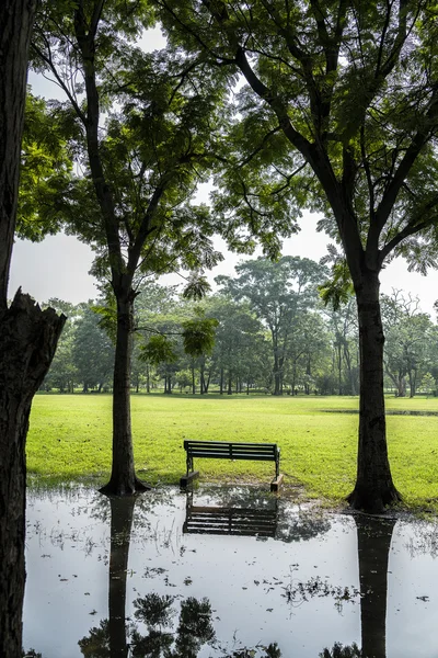 公共の公園で木の近くのベンチ — ストック写真