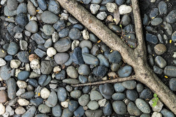 Фон текстуры галечных камней — стоковое фото