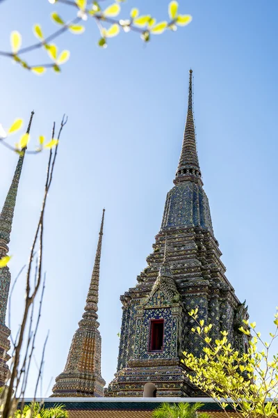 Wat pho è il bellissimo tempio di Bangkok, Thailandia . — Foto Stock