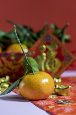 Çin Yeni Yıl Süslemeleri