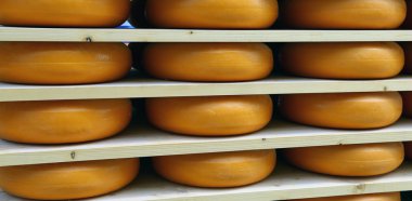 emmental peyniri süt olgunlaşma sırasında