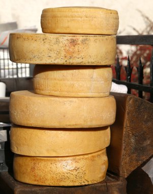 taze peynir ve yaşlı peynirler piyasada satışa