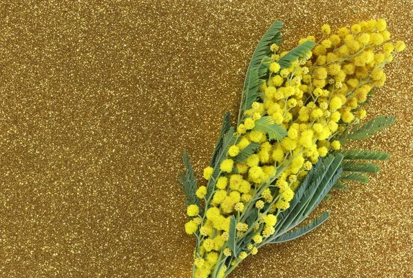 Κίτρινο Mimosas στο άνθος για τη διεθνή ημέρα της γυναίκας με — Φωτογραφία Αρχείου