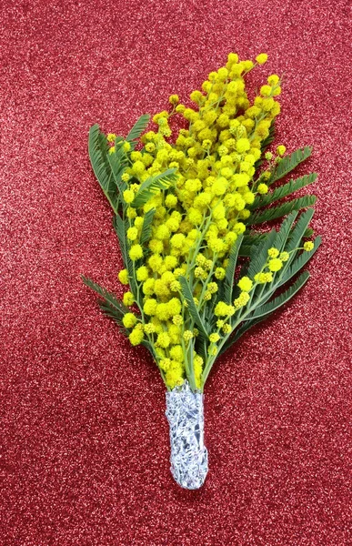 Mazzo di Mimose in fiore per la giornata internazionale della donna wi — Foto Stock