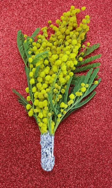 Csokor sárga Mimosas virágzott a nemzetközi női — Stock Fotó