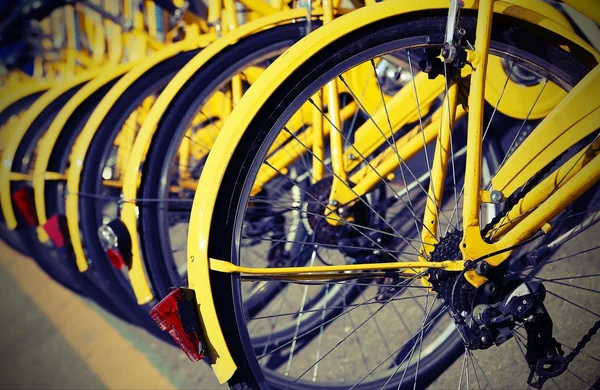 Bicicletas na loja da partilha urbana de bicicletas — Fotografia de Stock