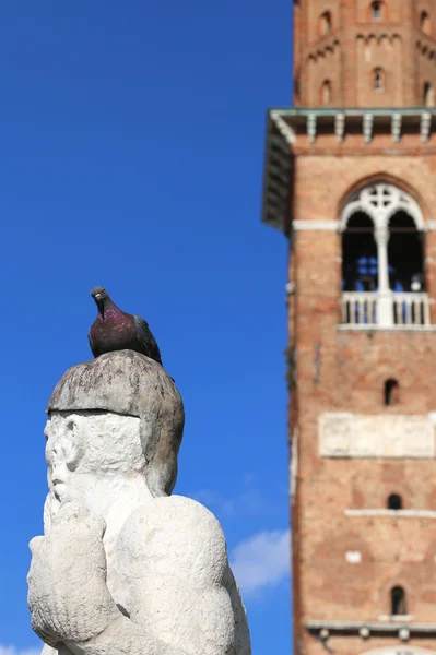Vicenza, Olaszország. Az ember a galamb ősi fehér kőszobor — Stock Fotó