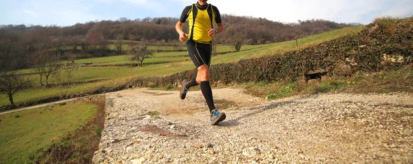 Loper met sneakers draait op landweg tijdens de cross telling — Stockfoto