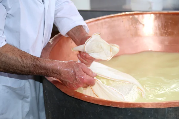 Senior cheesemaker collects the cheese with the tarp from the co — Stock Photo, Image