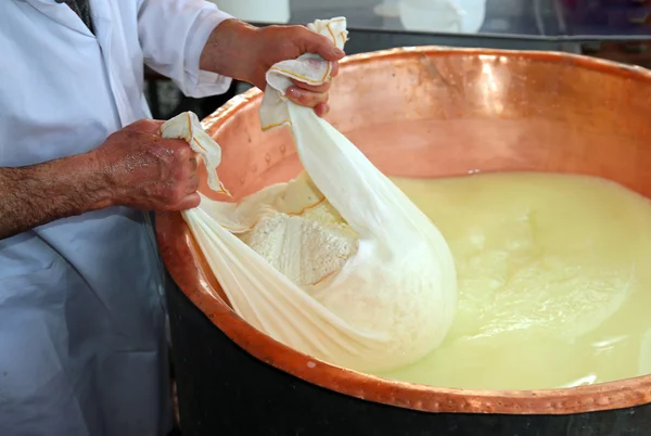 Senior cheesemaker collects the cheese with the tarp from the co — Stock Photo, Image