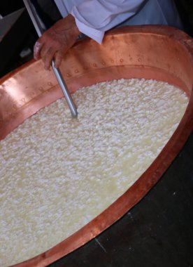 uzman cheesemaker curds büyük bakır kazana kıpırdanırken. 