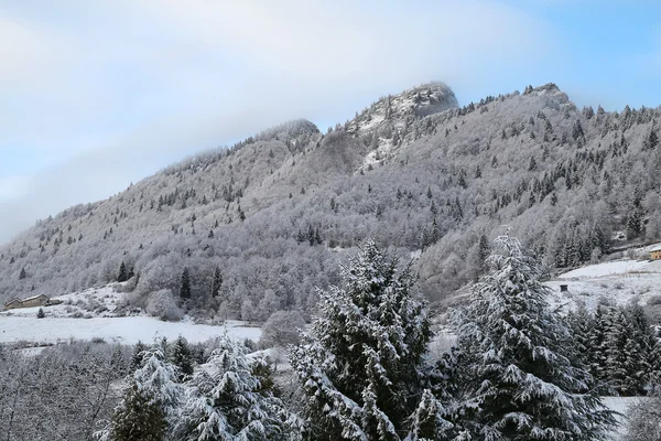 Encantadora paisagem montanhosa no inverno com árvores e árvores e — Fotografia de Stock