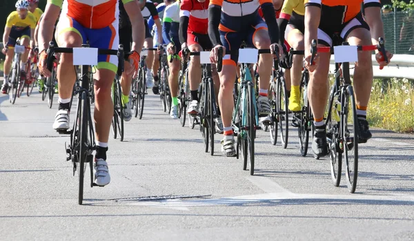 Гоночні велосипеди на чолі з велосипедистів під час гонки онлайн — стокове фото