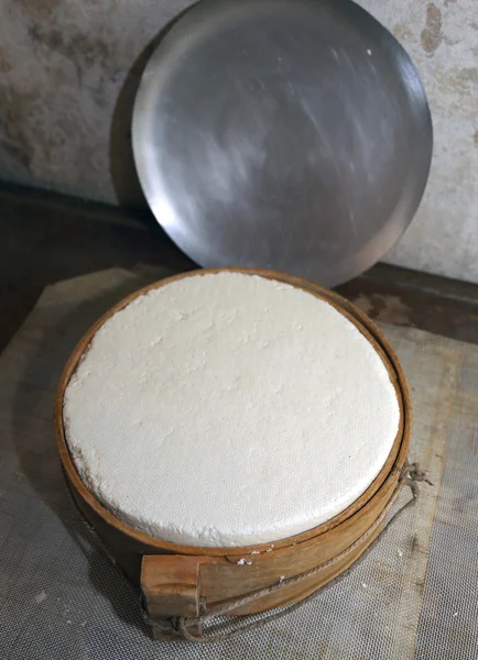 Feta fresh cheese with wooden mold in the dairy — Stock Photo, Image