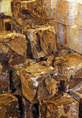 Yaşlı peynir yaprakları ve mükemmel deniz için bardağı taşıran damla sarılı mağara