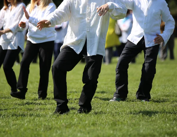 İnsanlar uzman dövüş sanatları Tai Chi tren — Stok fotoğraf