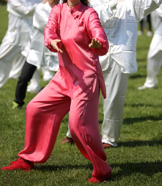 Martial art Woman with pink silk dress perform the exercises — Stock Photo, Image