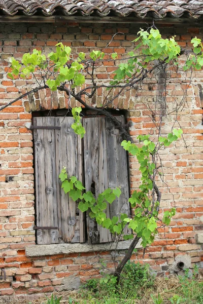 Parede de tijolo com molduras de janela de madeira da casa no verão — Fotografia de Stock