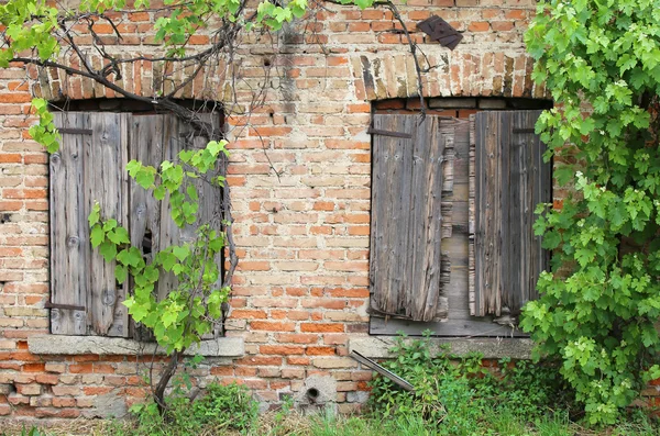 Cihlová zeď s rámy dřevěných oken starého domu — Stock fotografie