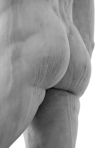 白い固体臀部の大理石の像のお尻 — ストック写真