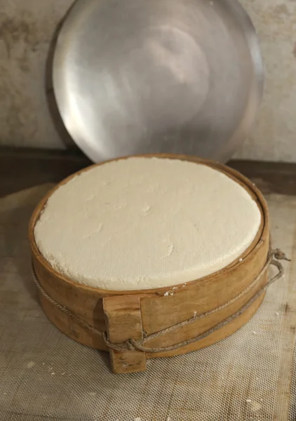 Queso fresco con molde de madera antiguo —  Fotos de Stock