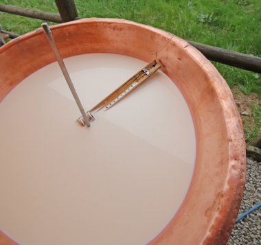 süt ve peynir altı suyu bir tencerede termometre için çalışıyorum