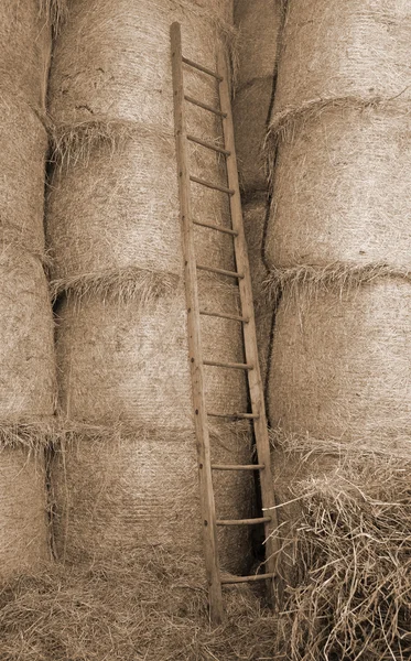 Scala in legno nel fienile dell'azienda agricola — Foto Stock