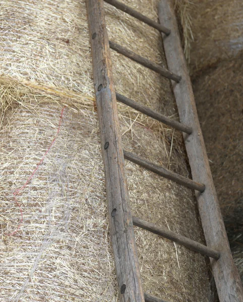 Houten ladder in de schuur van de boerderij — Stockfoto