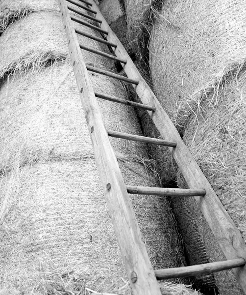 Houten ladder in de schuur van de boerderij — Stockfoto