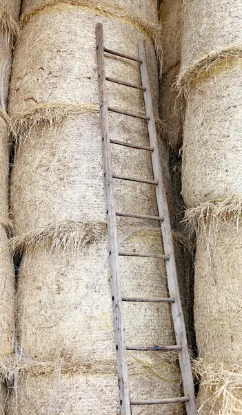 Scala in legno nel fienile dell'azienda agricola — Foto Stock