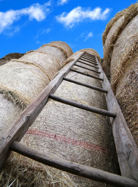 Escalera de madera en el granero con fardos de heno —  Fotos de Stock