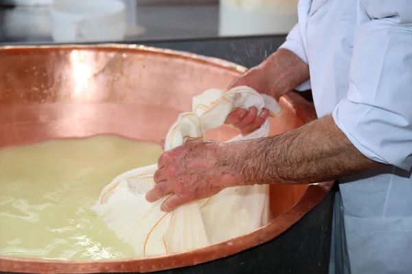 Senior kaasproducent verzamelt de kaas met de tarp van de co — Stockfoto