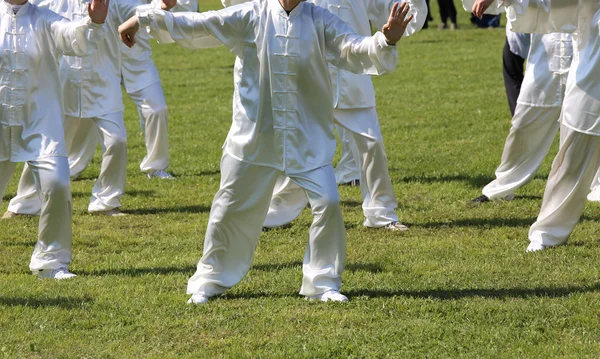 Fans of martial arts Tai Chi with white silk dress during the co — Stock Photo, Image