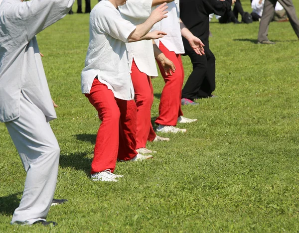 Gente experta en artes marciales tren Tai Chi en el parque público — Foto de Stock