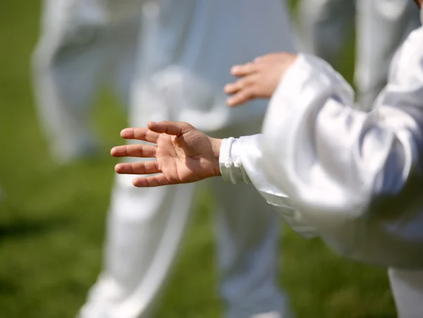 Hand of martial arts master Tai Chi with followers — Stock Photo, Image