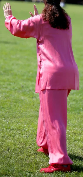 太极武术女子与粉红丝绸衣服执行锻炼 — 图库照片
